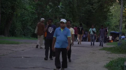 People are walking. Video stock 244484800