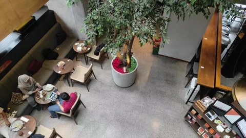 People are working inside a cafe Stock Footage 260538381