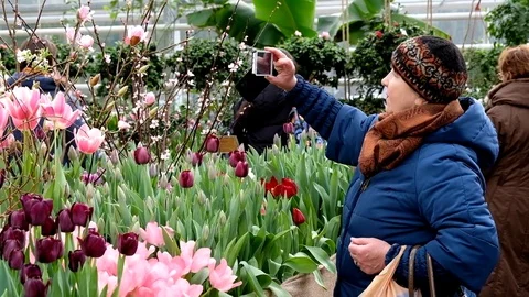 People attend spring flowers market at day time Stock Footage