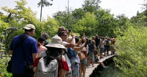 People at bat bridge admiring a waterfall at the Plitvice lakes Stock Footage 79577450