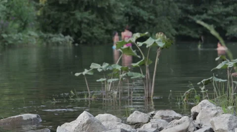 People bathe in the river. Stock Footage 65771641