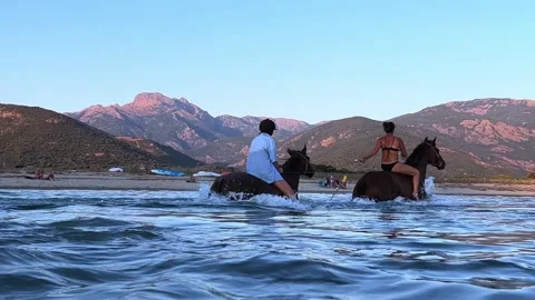 People bathing while riding horses in seawater Stock Footage 280791356