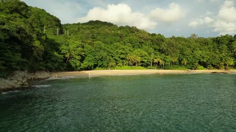 People on a beach among palm trees in Asia. Phuket, Thailand Video stock 317564053