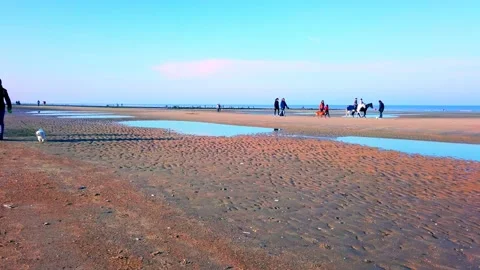 People on the beach in autumnal light Stock Footage 219010433
