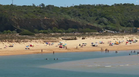 People on Beach Stock Footage 41546187