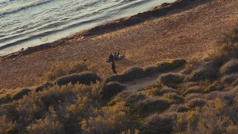 People on the beach Stock Footage 73912881