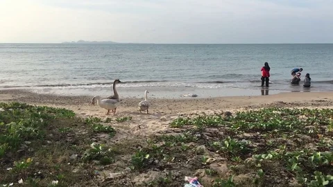 People on Beach Stockbeeldmateriaal 81066513