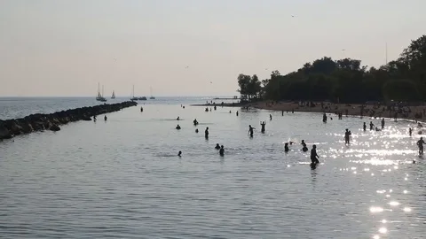 People on the Beach Stock Footage 88336180