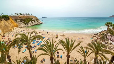 People at the Beach Stock Footage 98501901