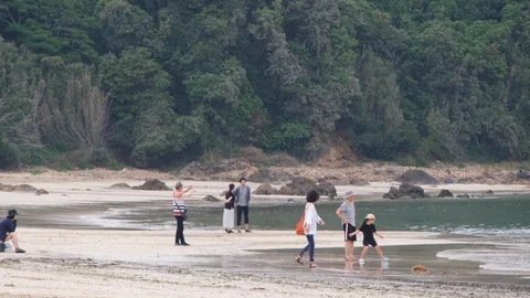 People On The Beach Stock Footage 109439793