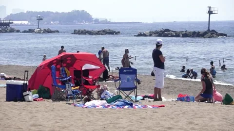 People at the Beach Stock Footage 134553826
