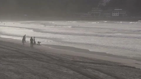 People at the beach Stock Footage 239921553