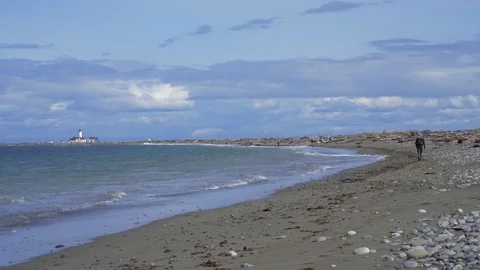 People on beach with lighthouse Stock Footage 87948891