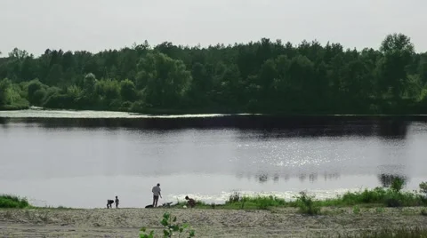 People on the beach in the summer Stock Footage 52372287