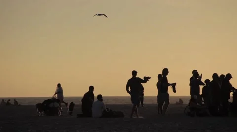 People on the beach at sunset Stock Footage 56343954