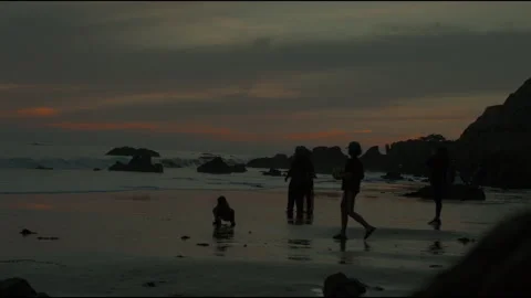 People on Beach at Sunset 스톡 동영상 201310764