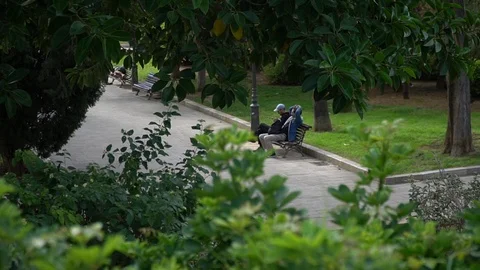 People on a bench park Stock Footage 128349924