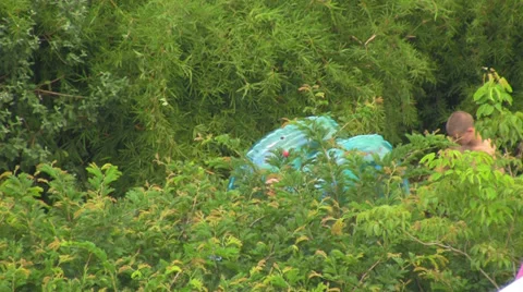 People with Blue Tubes Walking through Green Foliage Stock Footage 30557257