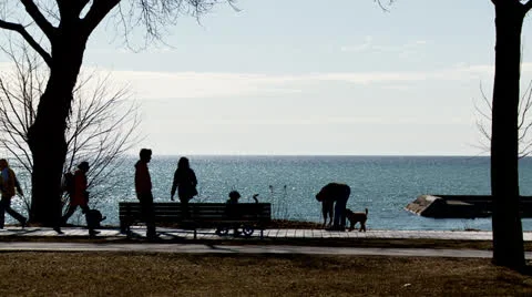 People on Boardwalk Vidéo 22814645