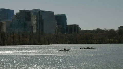 People Boating and Rowing in Washington DC Potomac River Stock Footage 155755571