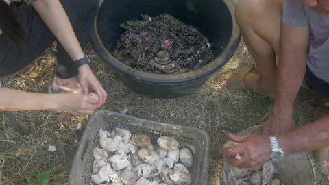People break crocodile eggs Stock-Footage 131134173