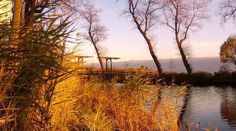 People on the bridge. Stock Footage 33459396