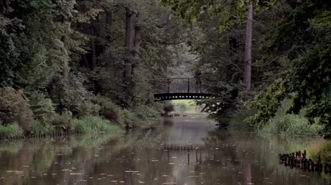 People on a bridge in the park Video stock 67625931
