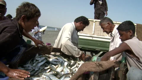People buying fish Stock Footage 202138612