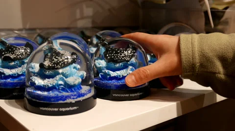 People buying snow globe with stingray snowflake inside Vancouver aquarium Stock Footage