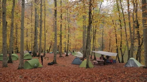 People camping in the forest Stock Footage 43325366