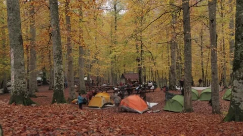 People camping in the forest Time Lapse, Camping, Time Lapse Stock Footage 43260029