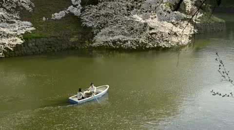 People celebrating the cherry blossom at Kudanishita in Tokyo. Stock Footage