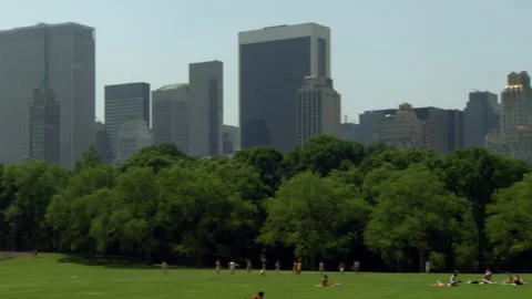 People in Central Park in the summer sunbathing and playing frisbee Stock Footage 202911776