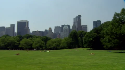 People in Central Park in the summer sunbathing and playing frisbee Stock Footage 202913106