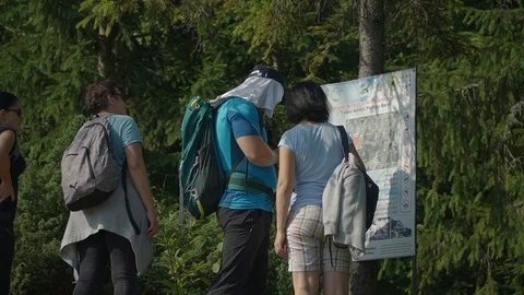 People check the hiking map at in front of a forest, Rodnei Mountains, Vídeos de archivo 119176599