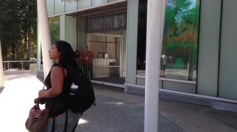 People checking opening time about Vancouver aquarium Video stock 50339944