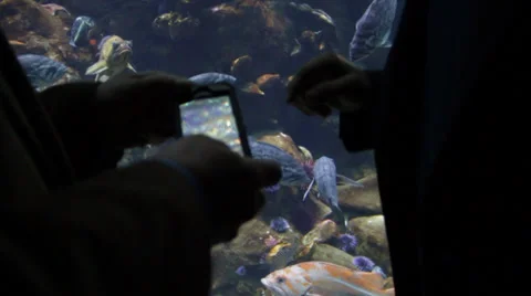 People checking out the Pixel clarity of the hand phone Stock Footage 36160986