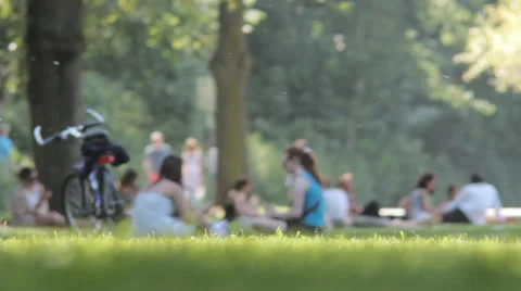 People chilling in the park Stock Footage 39394338