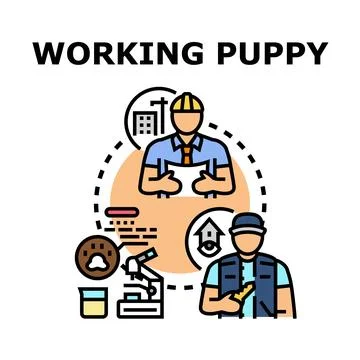 People choosing career path and professional development Stock Illustration