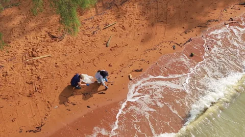 People Cleaning Trash on the Beach - PD, Malaysia - 8.19.2025 Stock Footage 315064352