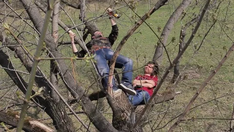 People climb a tree Stock Footage 75336064
