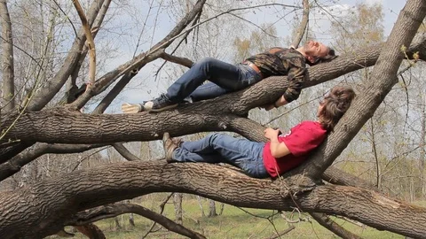 People climb a tree Stockbeeldmateriaal 75336128