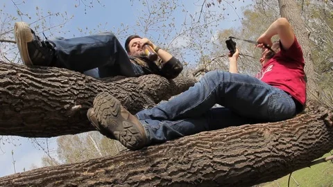 People climb a tree Stock Footage 75336130