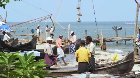 People on the coast in India Stock Footage 147554559