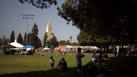 People at community event in park Stock Footage 89094530