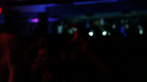 People at the concert Stock Footage 2873283