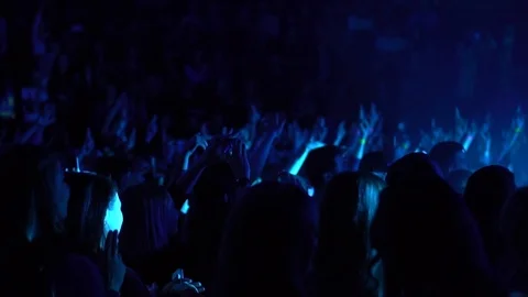 People at the concert Video stock 88029101