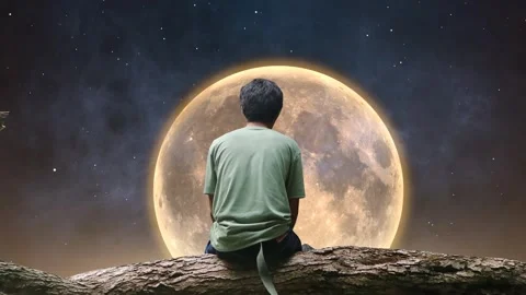 People contemplating behind the moonlight at night Video stock 300060962
