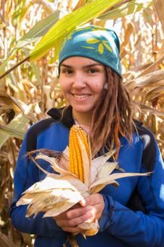 People in a cornfield Stock Photos