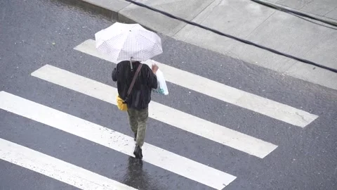People cross the road in a downpour Stock Footage 337112862